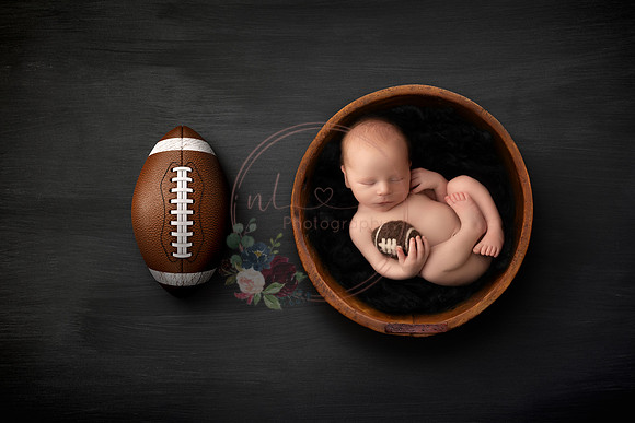 Newborn Digital Backdrop - Lauree Jane Photography, LLC