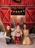 Calendine Christmas Mini 25