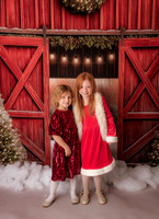 Moore Christmas Mini 25