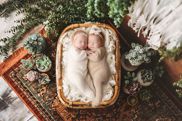 Newborn Digital Backdrop - Lauree Jane Photography, LLC