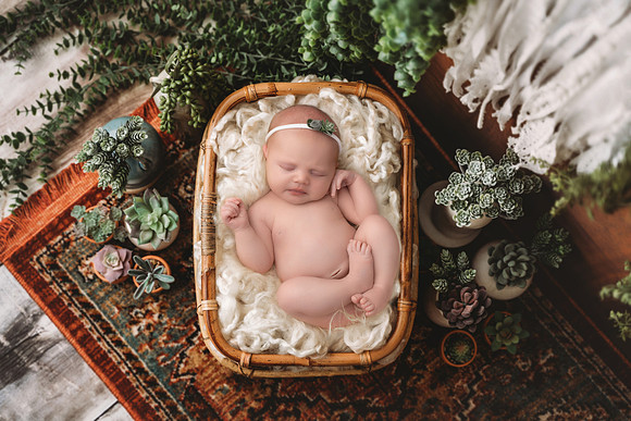 Newborn Digital Backdrop - Lauree Jane Photography, LLC